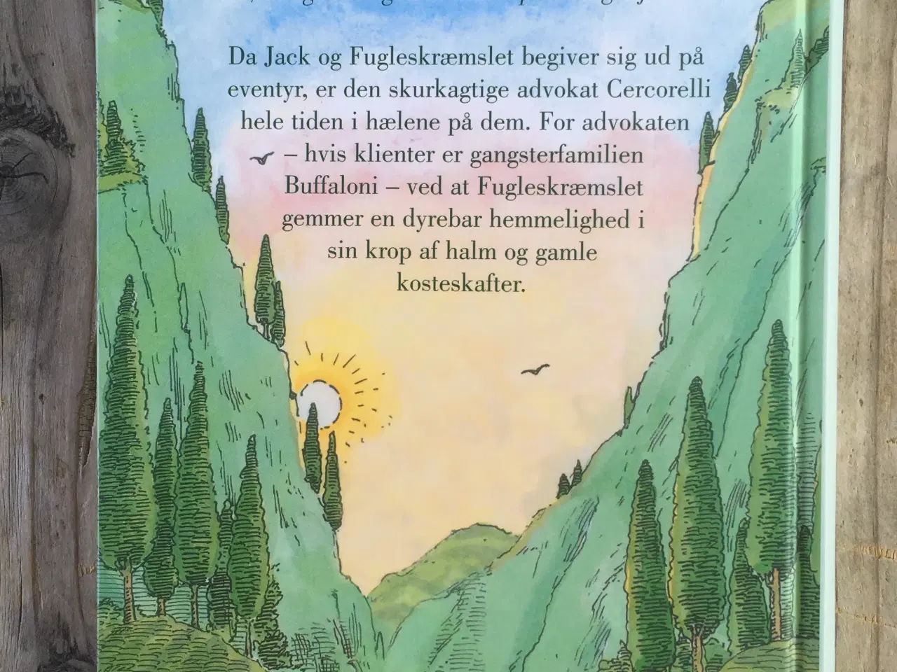 Billede 2 - Fugleskræmslet og hans tjener, Phillip Pullman