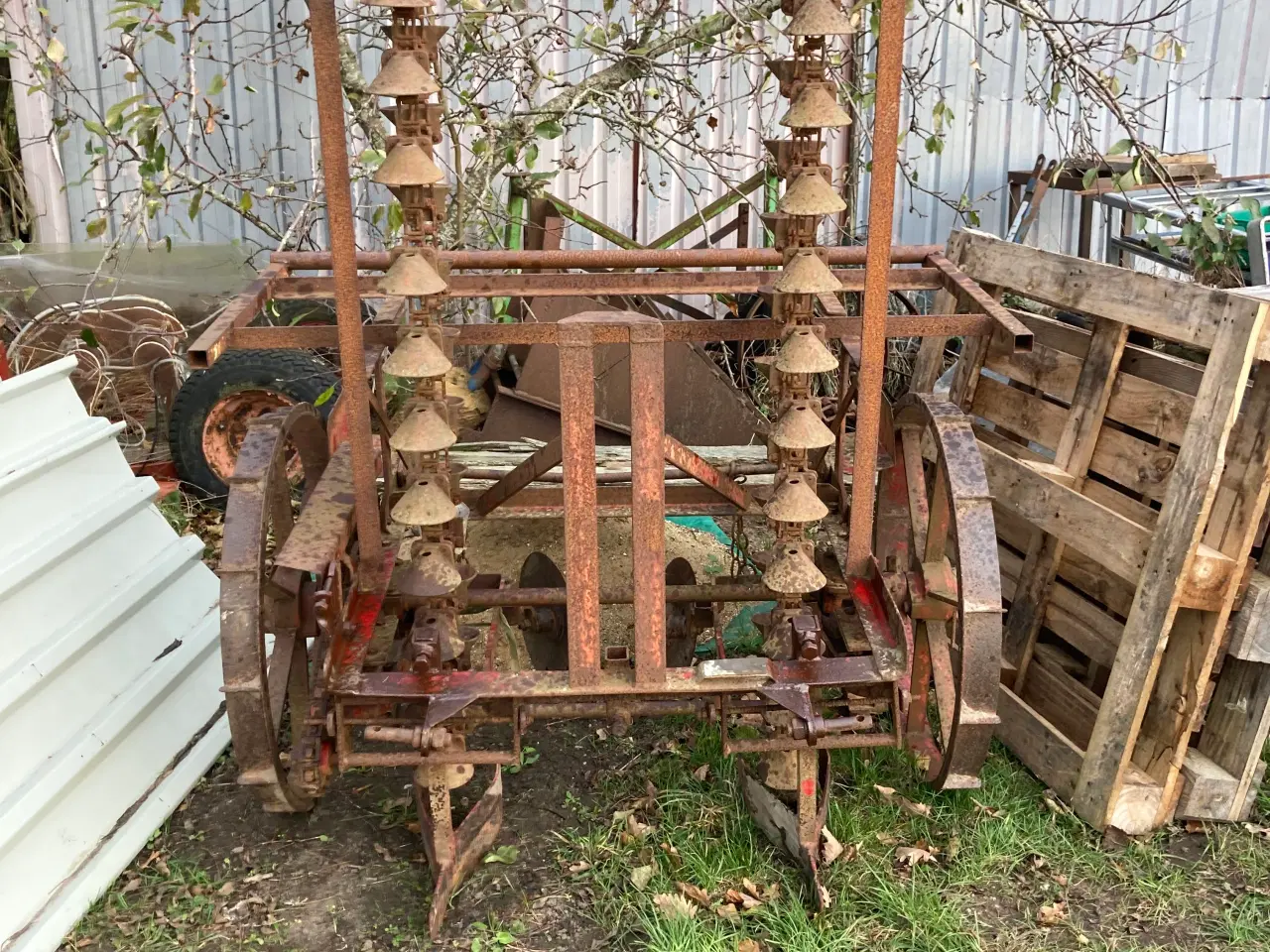 Billede 1 - Kartoffellægger