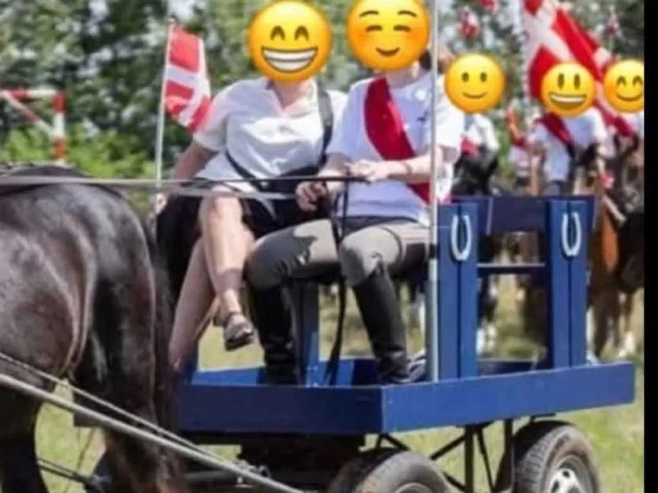 Billede 1 - Hestvogn