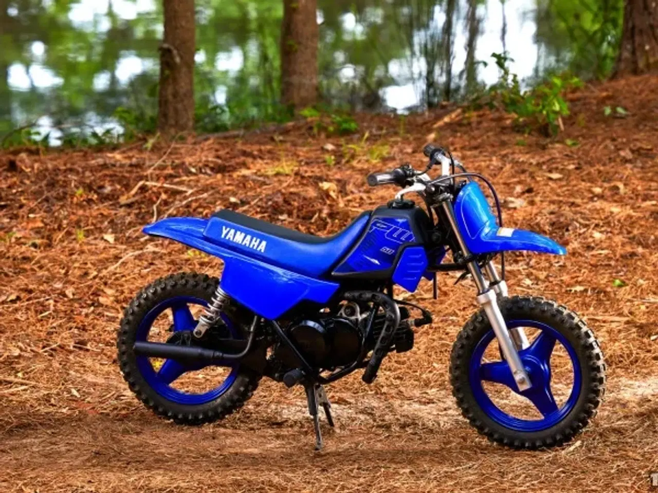 Billede 2 - Yamaha PW 50