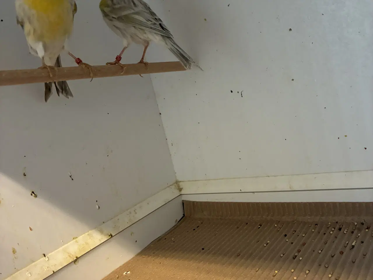 Billede 5 - Agat mosaikker fra 2024