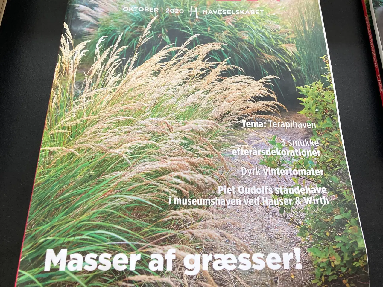 Billede 1 - Haven have blad