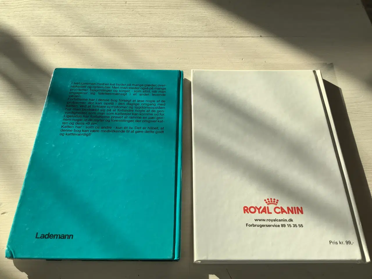 Billede 2 - Bog om Alt om katte og Bog om kattekillinger 