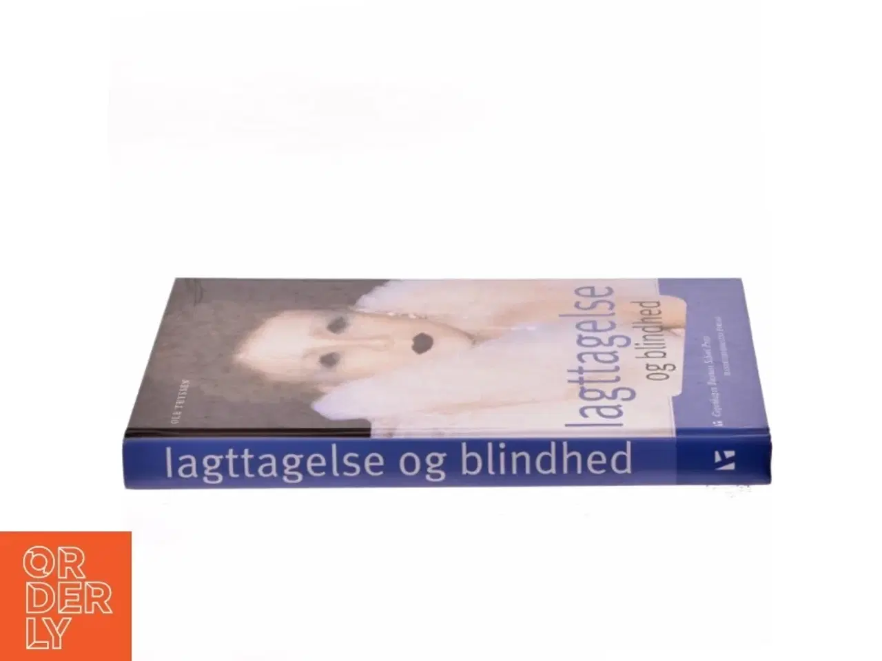 Billede 2 - Iagttagelse og blindhed : om organisation, fornuft og utopi af Ole Thyssen (Bog)