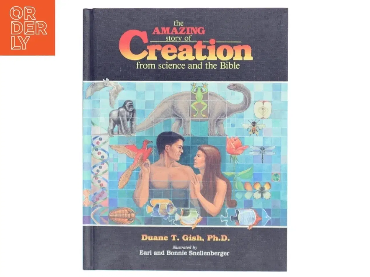 Billede 1 - The amazing story of creation