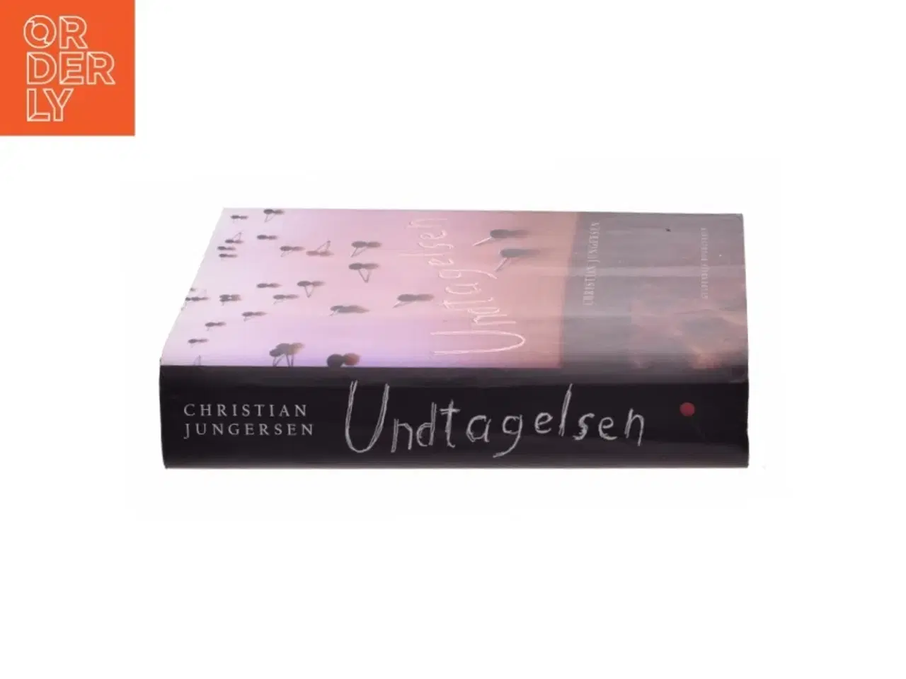 Billede 2 - Undtagelsen : roman af Christian Jungersen (Bog)