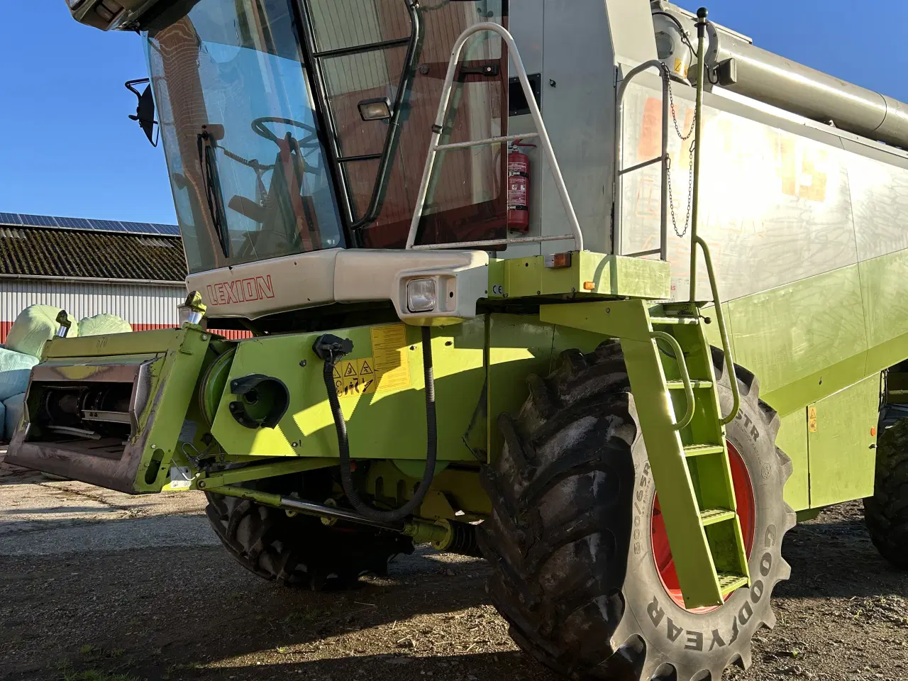 Billede 3 - Majetærsker 