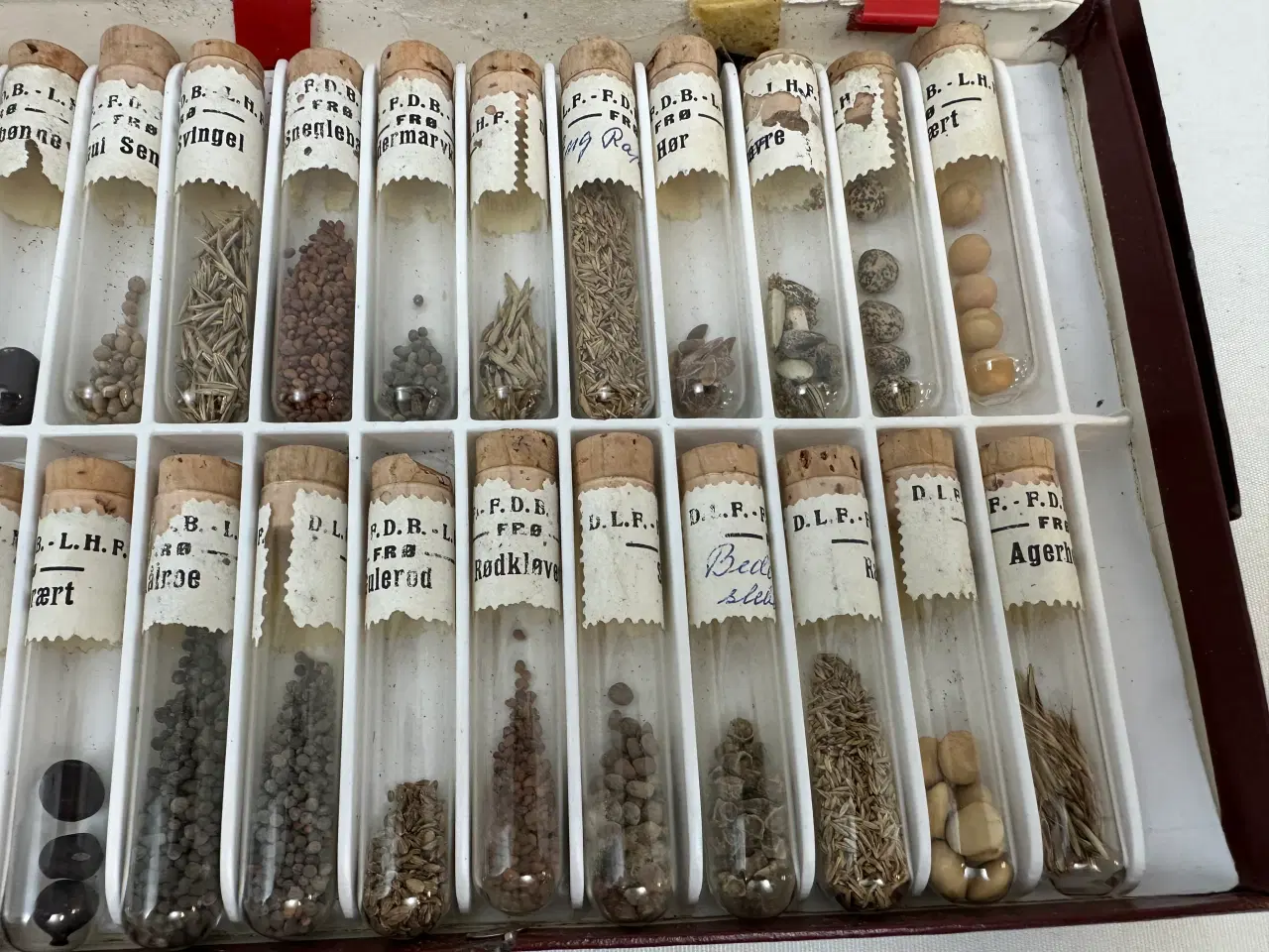 Billede 8 - Ældre frøsamling i 36 cylindere 