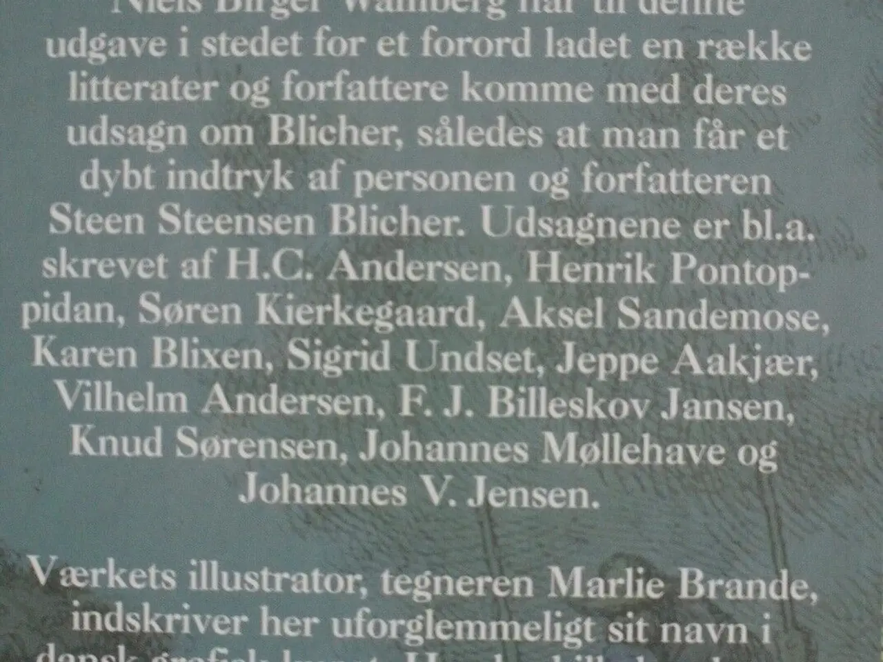 Billede 3 - noveller og fortællinger, af steen steensen bliche