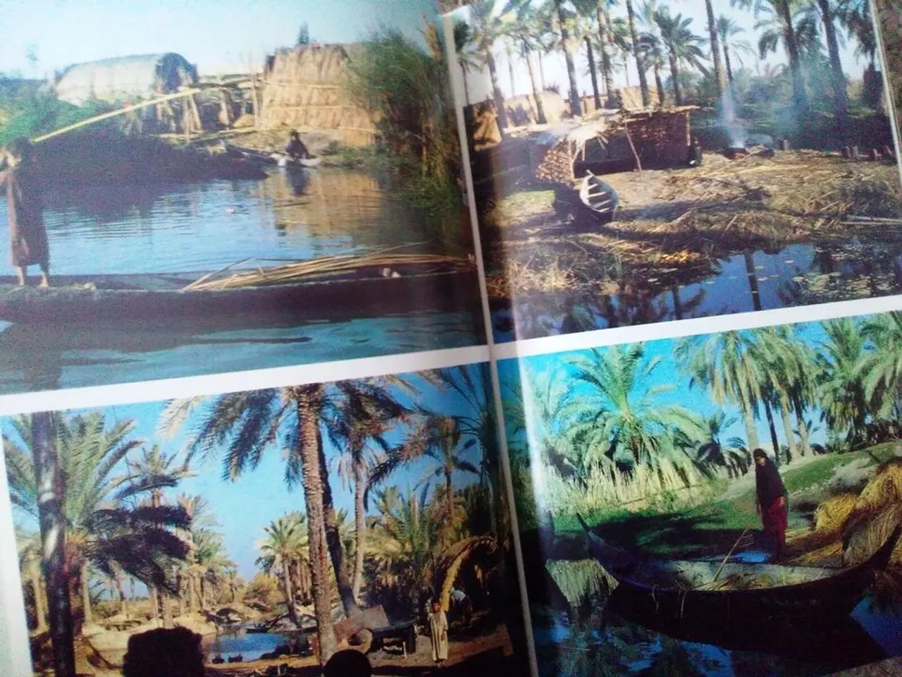 Billede 1 - Tigris, Thor Heyerdahl.