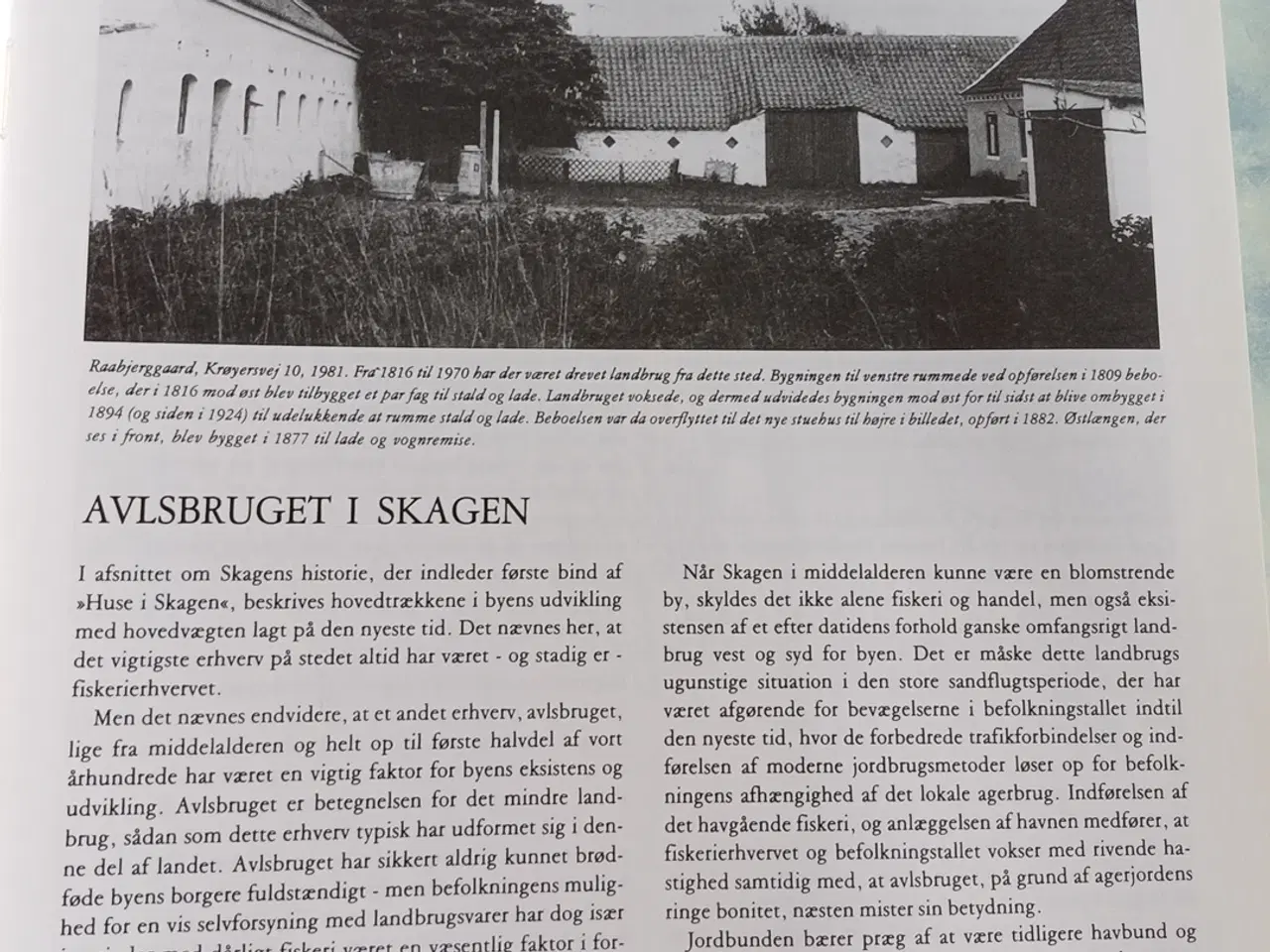 Billede 3 - Huse i Skagen II