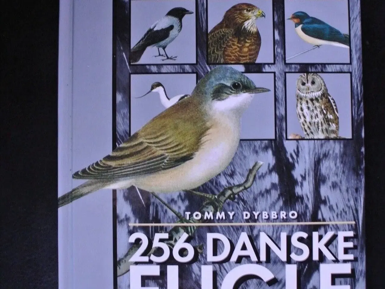 Billede 1 - 256 danske fugle, Af tommy dybbro. ill. af karl aa
