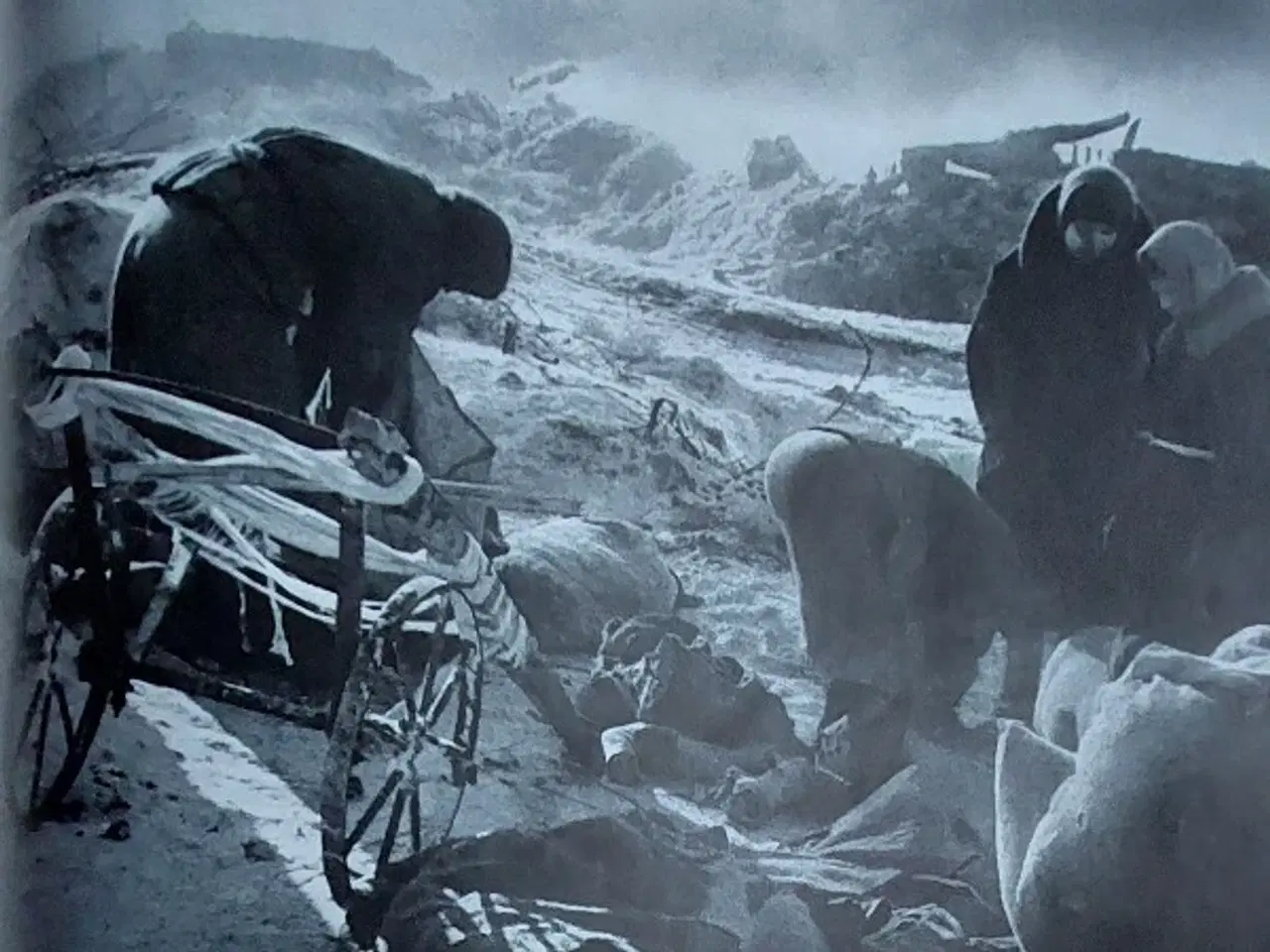 Billede 7 - Tysk bog " Stalingrad eine Chronik in Bildern"