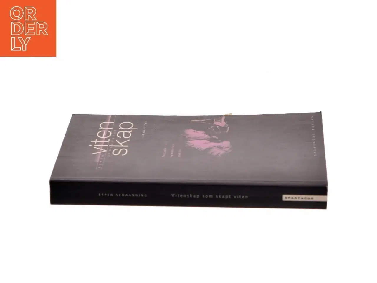 Billede 2 - Vitenskap som skapt viten : foucault og historisk praksis af Espen Schaanning (Bog)