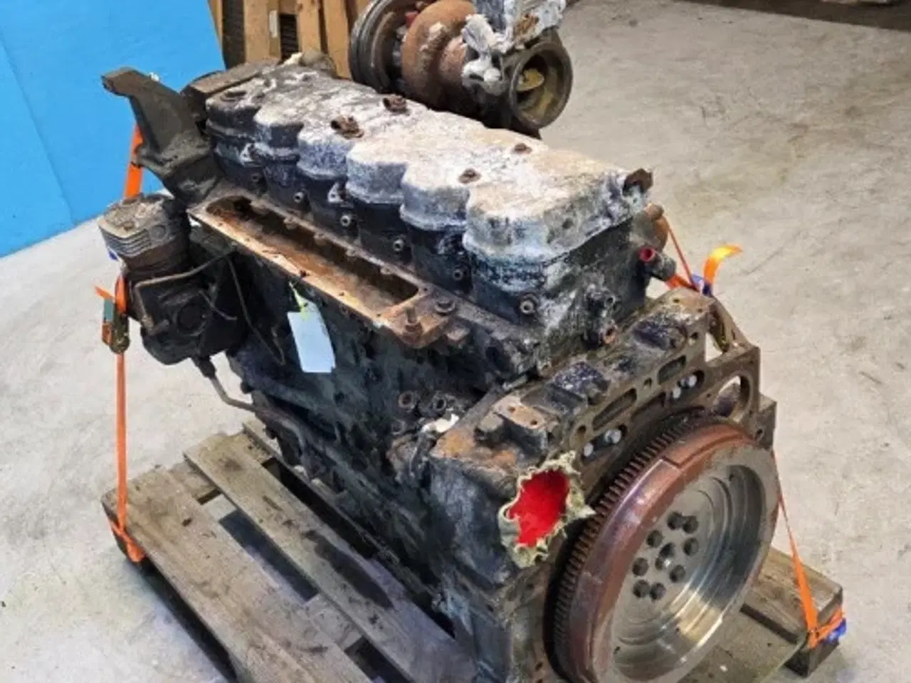Billede 19 - Iveco F4DGE614H Motor 51693360