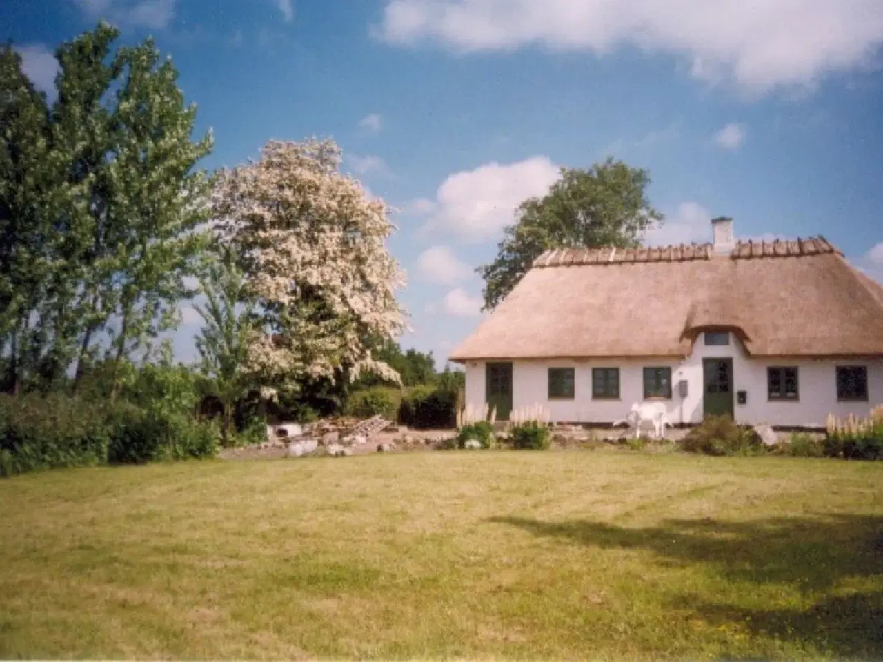 Billede 1 - 4 km fra Egeskov slot-sommerhus