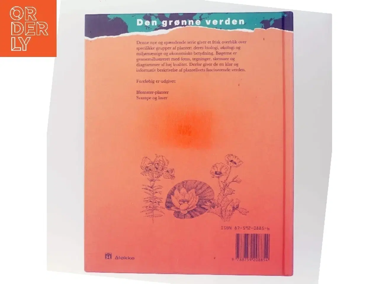 Billede 3 - Blomster-planter af Wendy Madgwick (Bog)