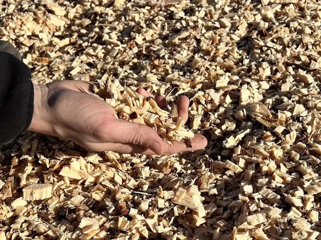 Billede 6 - Flishugger 170 m. Hydraulisk indføring med pumpe og tank