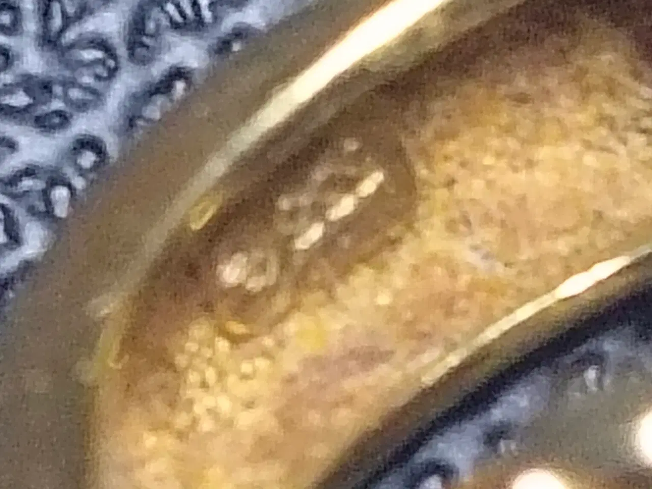 Billede 2 - Øreringe 