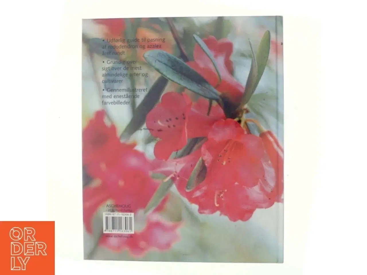 Billede 3 - Rododendron og azalea af Kenneth Cox (Bog)