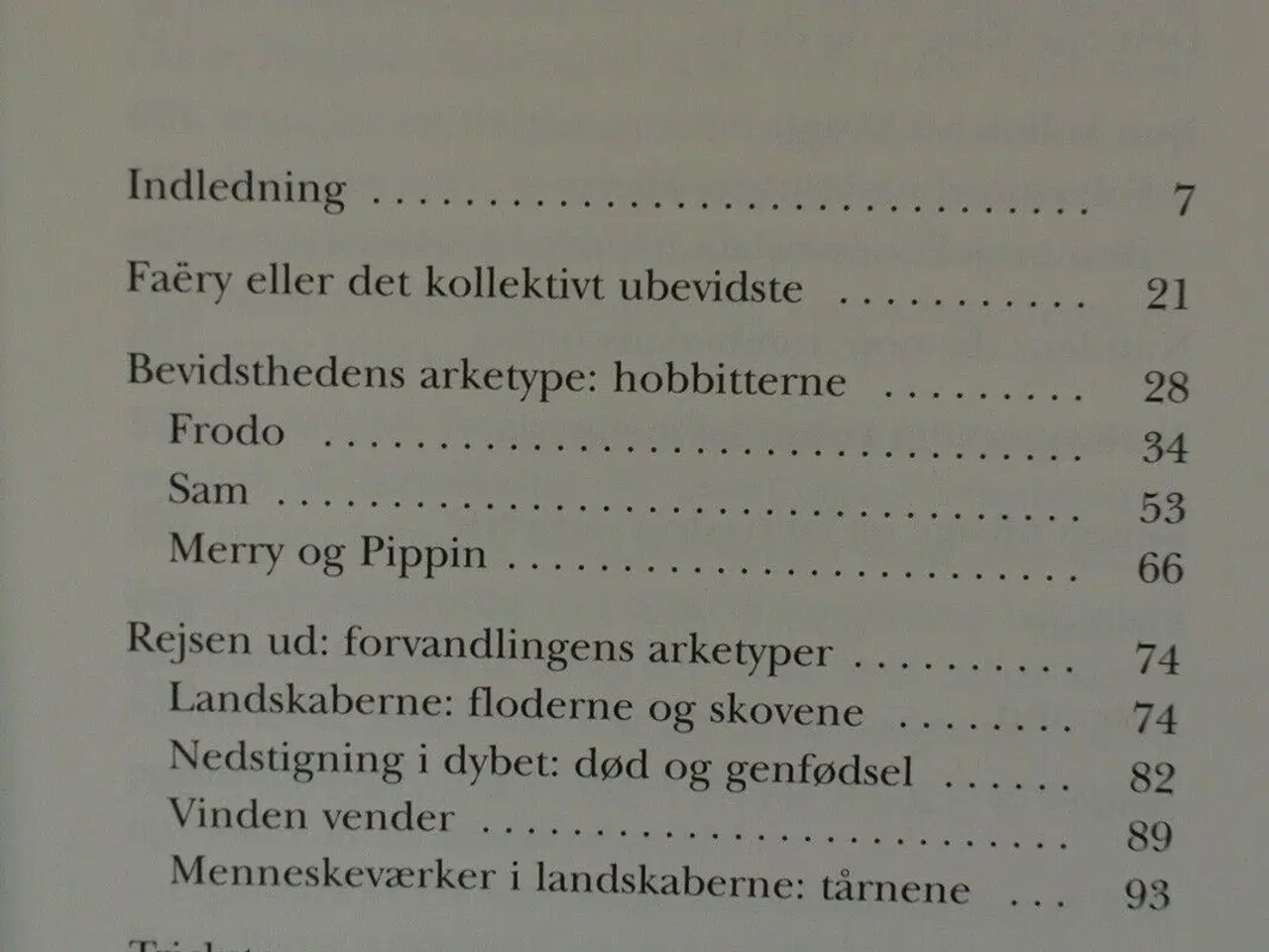 Billede 2 - en jungiansk fortolkning af tolkiens ringenes herr