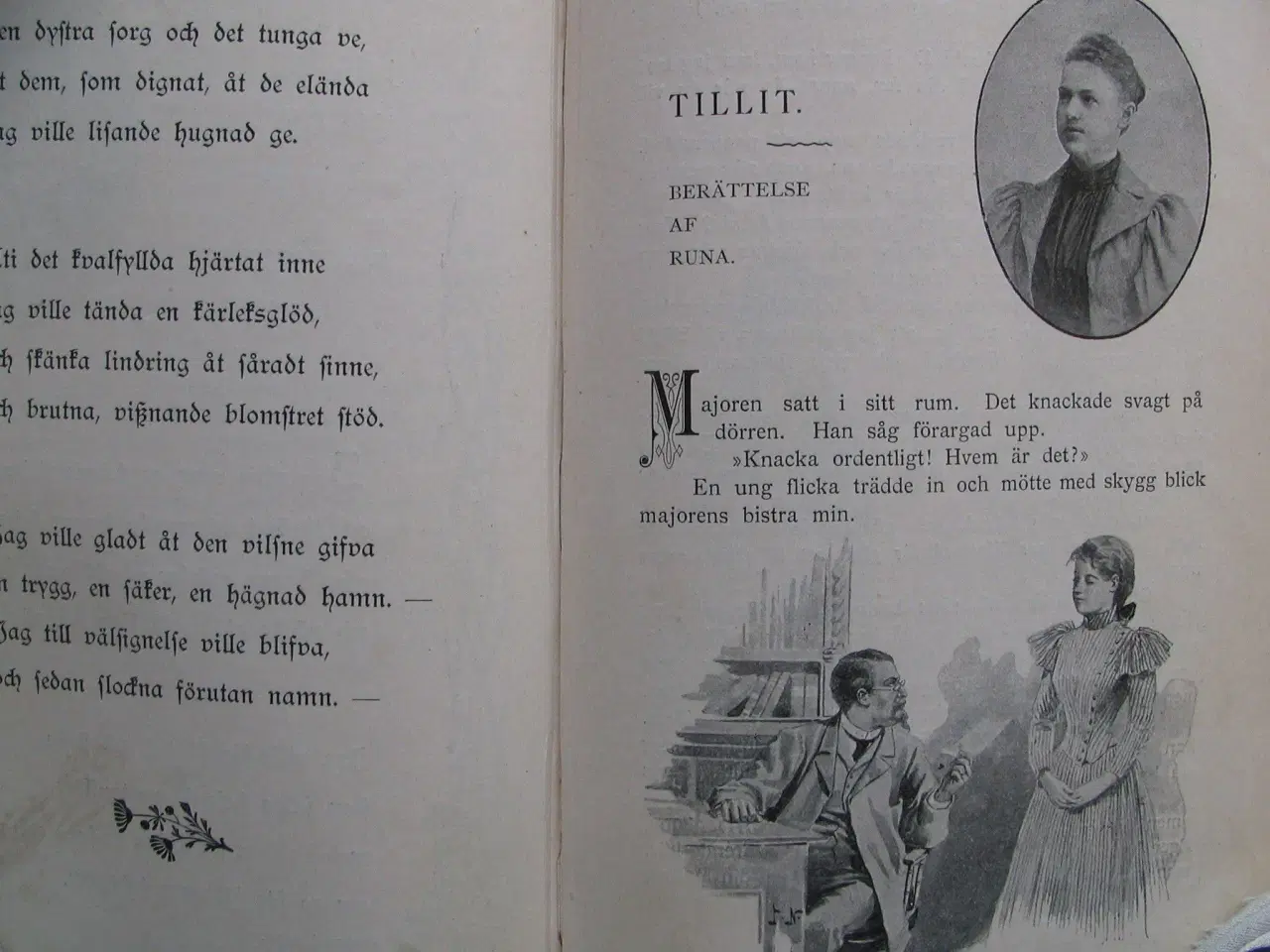 Billede 7 - Diverse svenske forfattere. Vintersol 1899