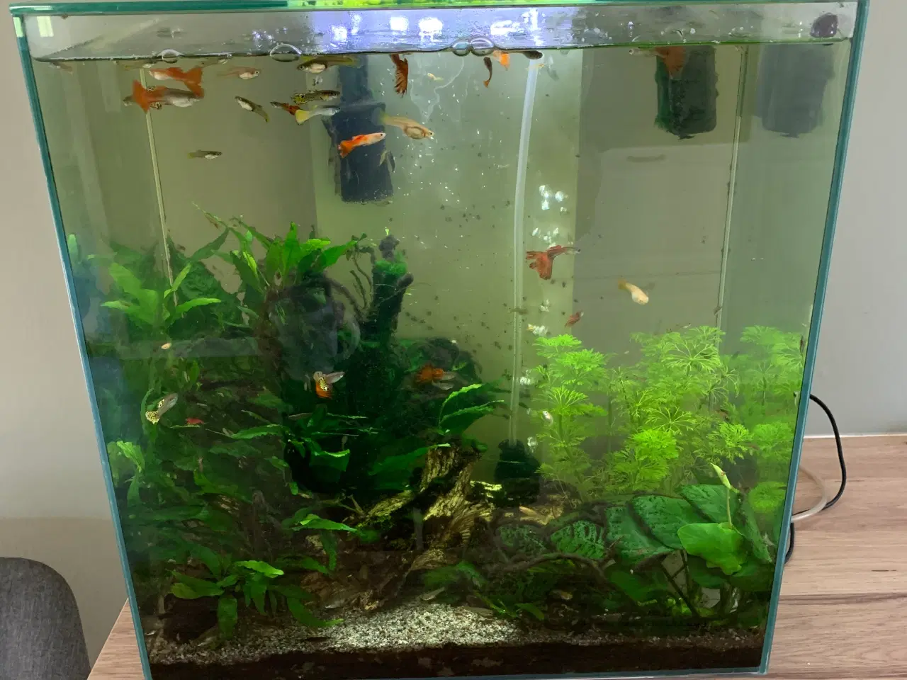 Billede 4 - Akvarie 40l. 