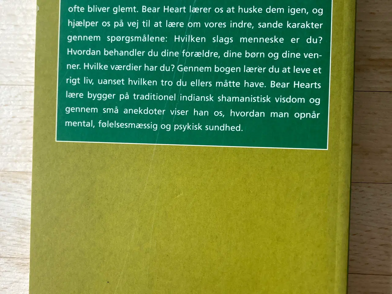 Billede 2 - Vinden er min moder, Bear Heart