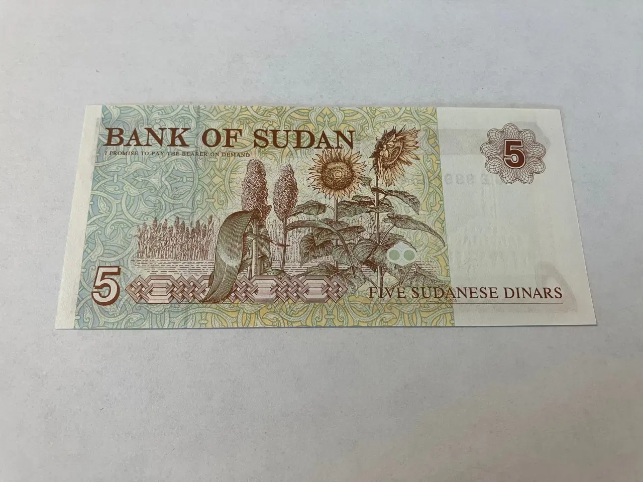 Billede 1 - 5 Dinars Sudan