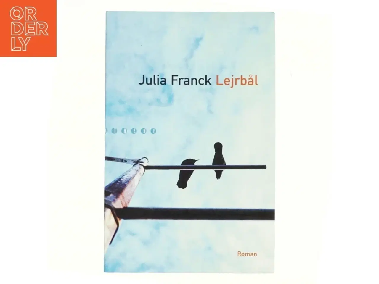 Billede 1 - Lejrbål : roman af Julia Franck (Bog)