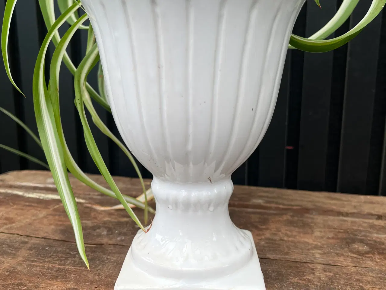 Billede 1 - Hvid opsats med plante