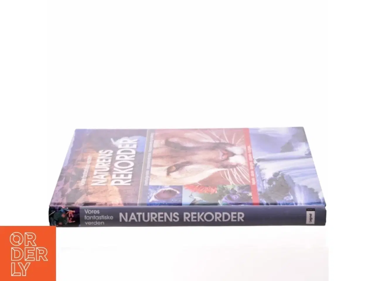 Billede 2 - Naturens rekorder : terra maxima : vores fantastiske verden (Bog)