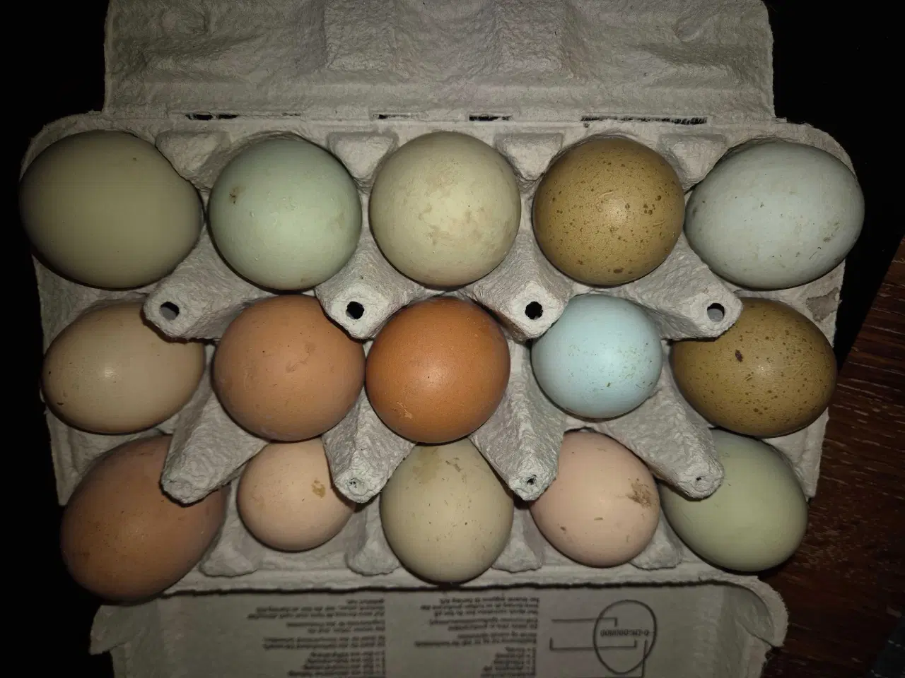 Billede 4 - Kyllinger silkehøns 