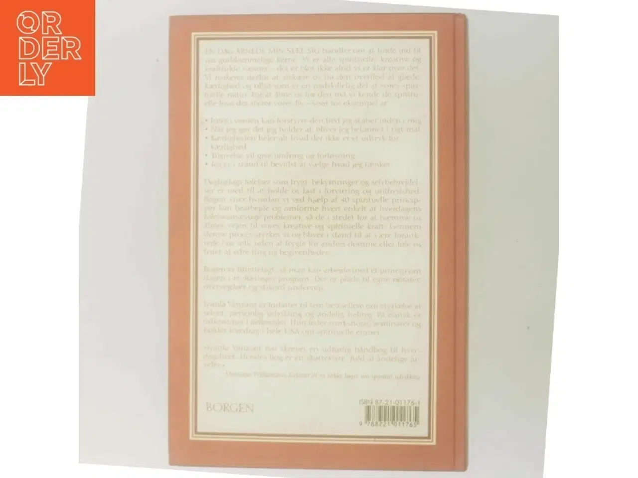 Billede 3 - En dag åbnede min sjæl sig : åndelig styrke og personlig vækst på 40 dage af Iyanla Vanzant (Bog)