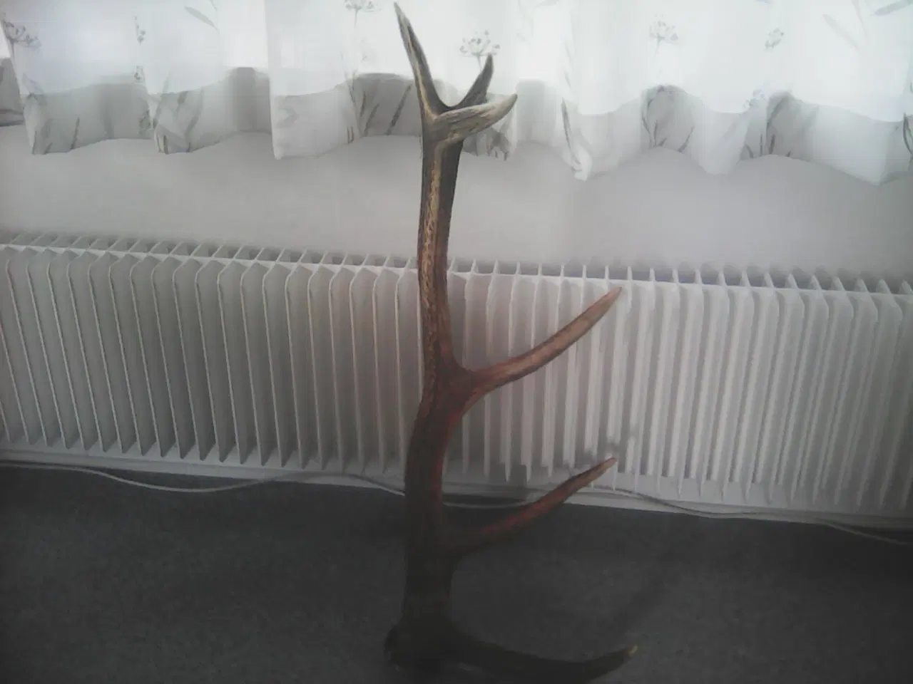 Billede 2 - Stort GEVIR