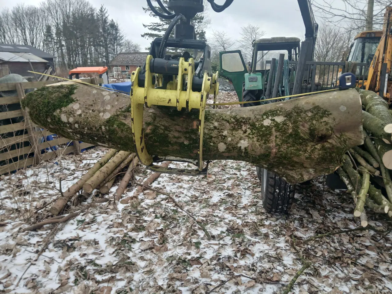 Billede 1 - Ahorntræ fældet og parteret i stamme og grene