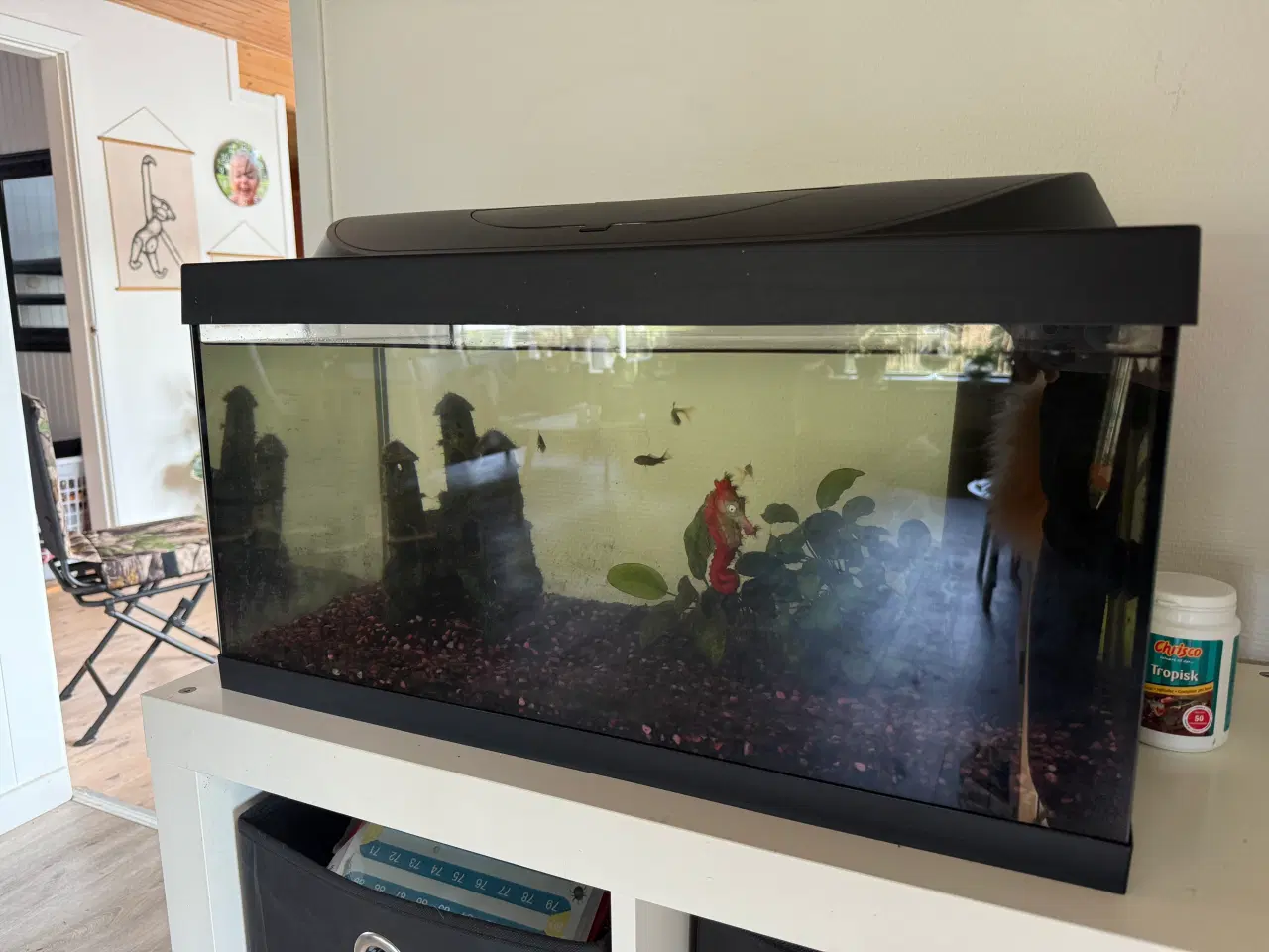 Billede 5 - Akvarie 54L 
