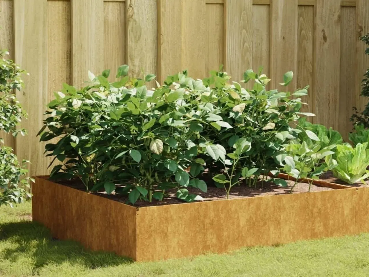 Billede 1 - Højbed 100x100x41 cm cortenstål