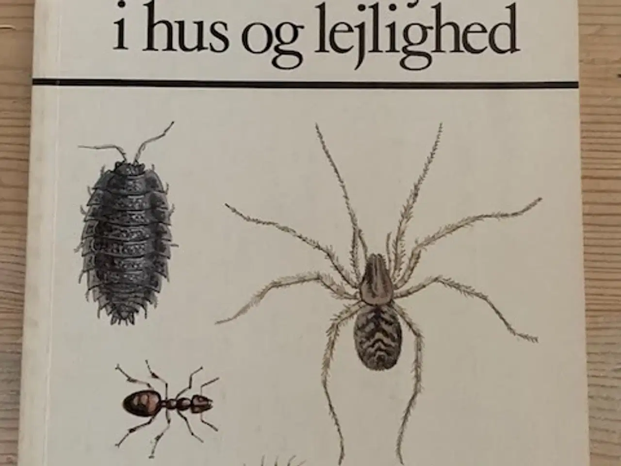 Billede 1 - Generende dyr i hus og lejlighed