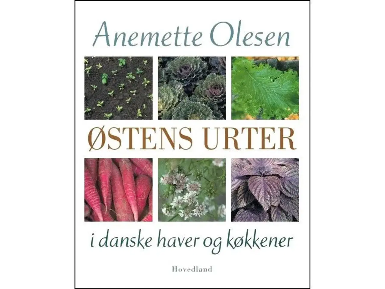 Billede 1 - Østens Urter i danske haver og køkkener