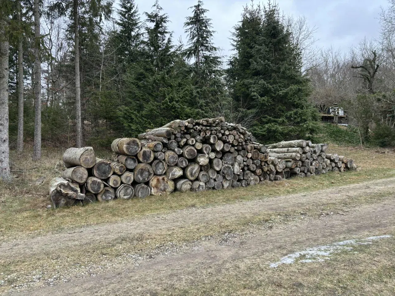 Billede 1 - Brænde - gran mm.