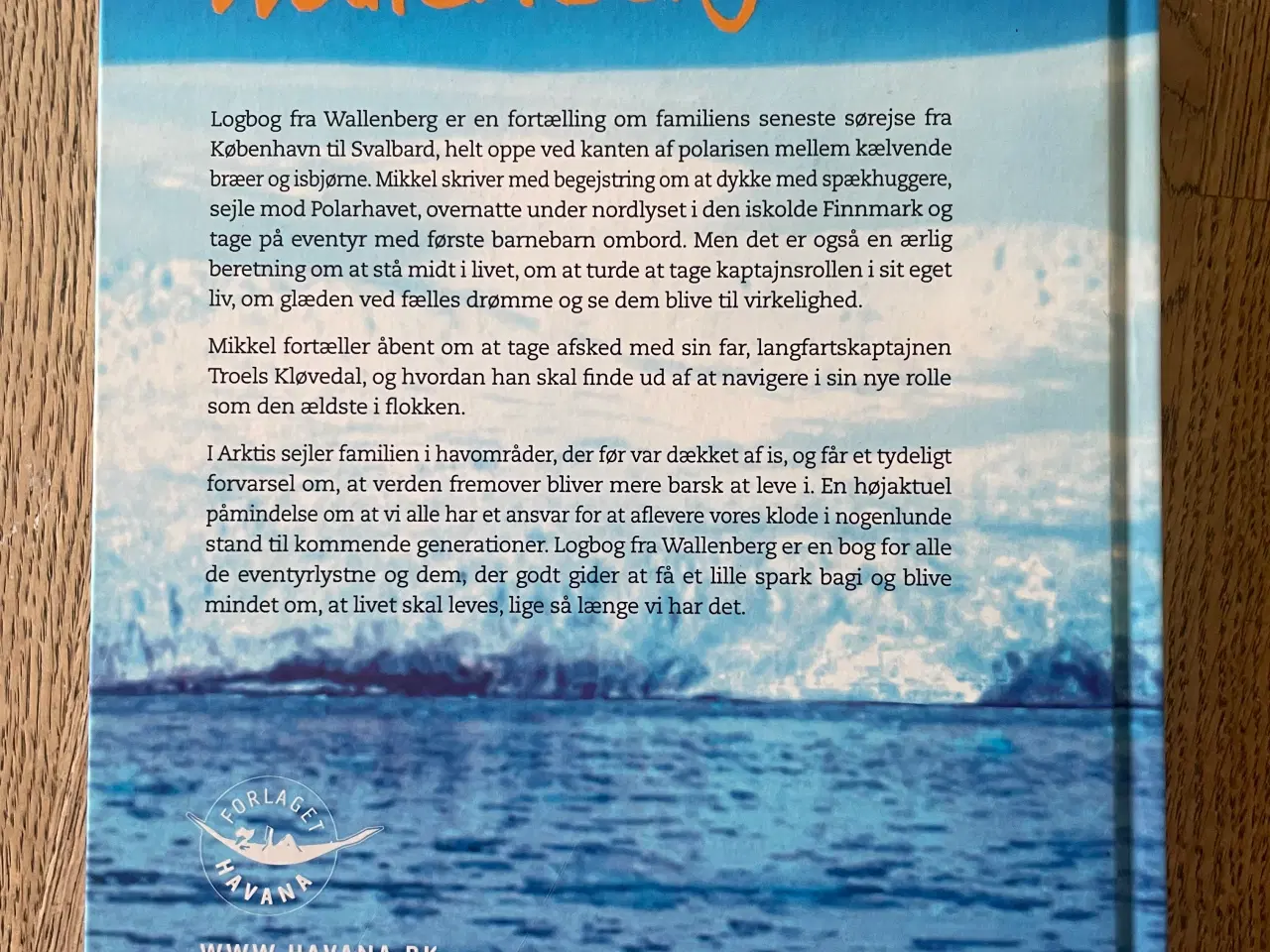 Billede 2 - Logbog fra Wallenberg, Mikkel Beha Erichsen