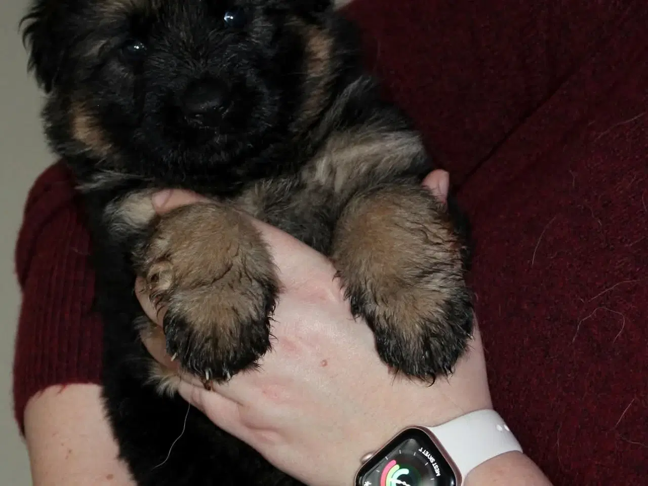 Billede 7 - Fynske julebamser! 