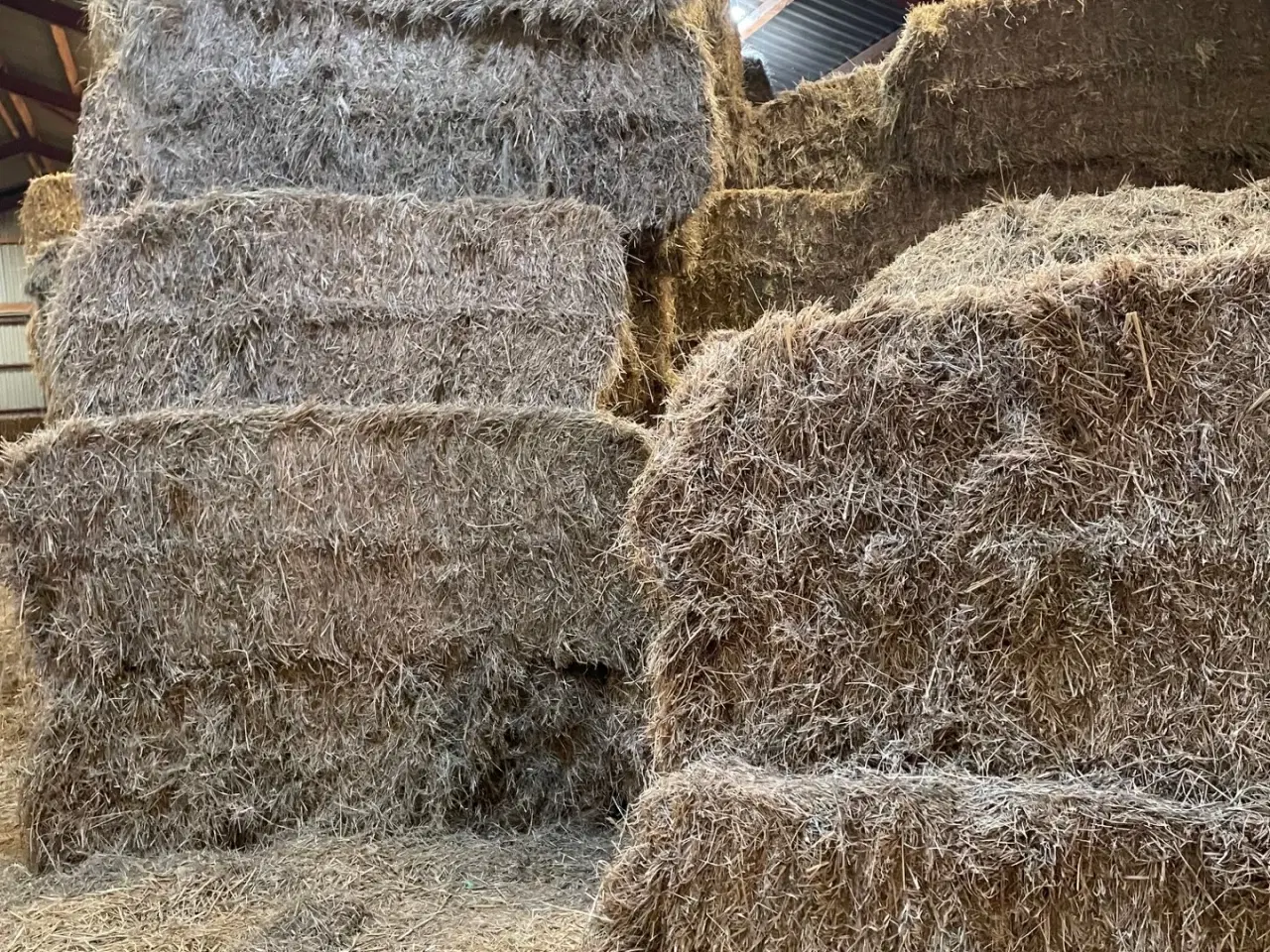 Billede 1 - Hø, minibigballer