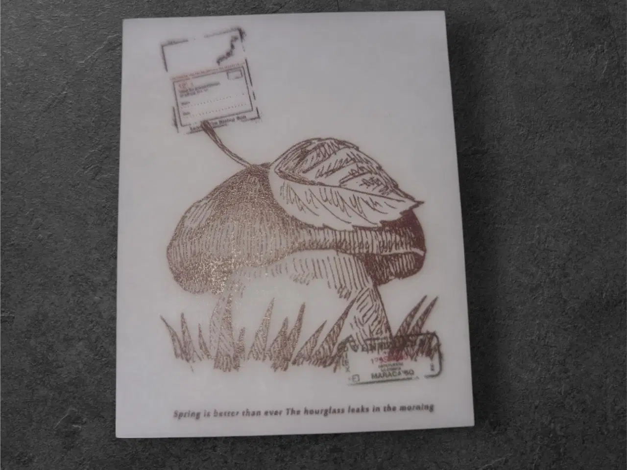 Billede 1 - Poetiske papirark med smuk svampeillustration