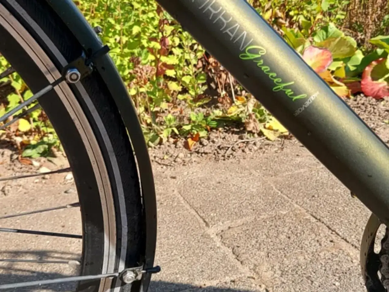 Billede 3 - Dame cykel str.51.cm Kildemoes.