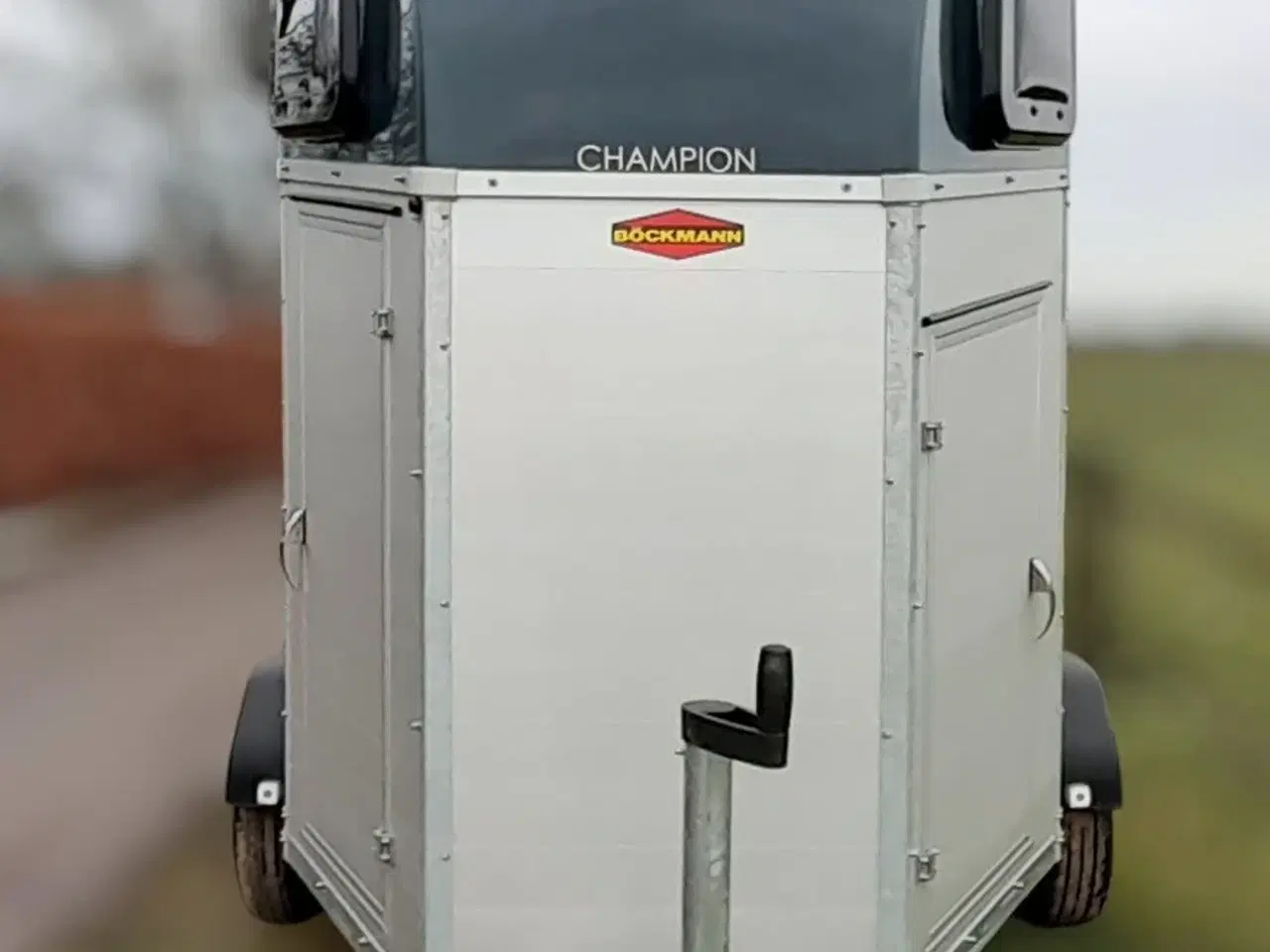 Billede 3 - Böckmann Champion Esprit (Udstilling)