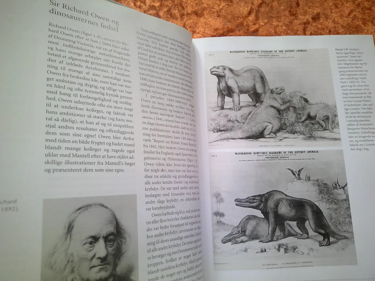 Billede 2 - Dinosaurerne i nyt lys, Per Christiansen