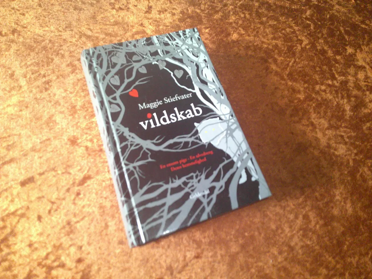 Billede 1 - Vildskab, Maggie Stiefvater