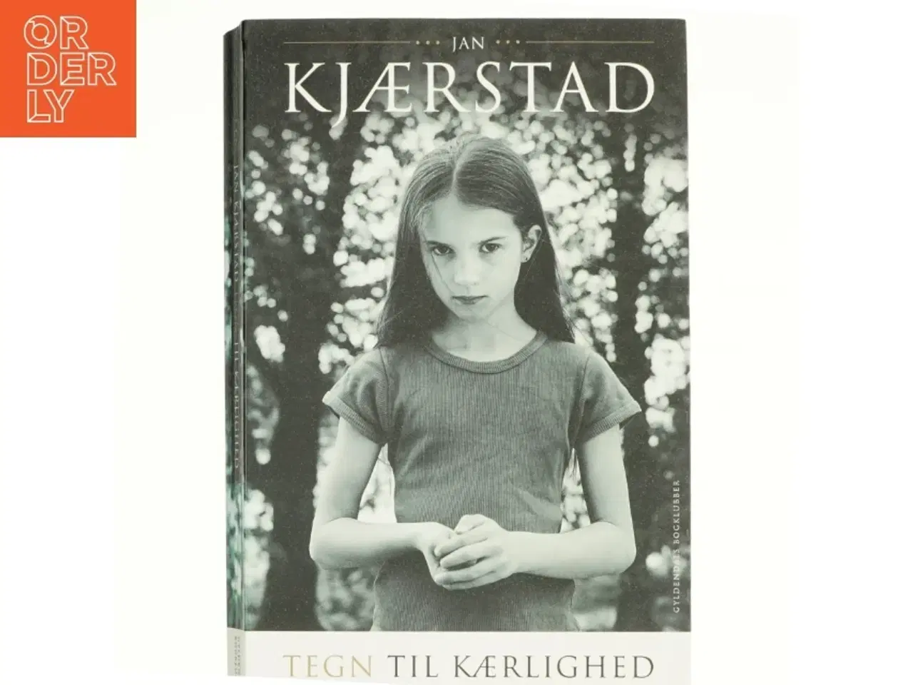 Billede 1 - Tegn til kærlighed : roman af Jan Kjærstad (Bog)